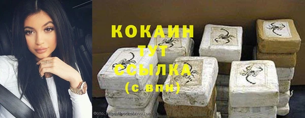 крисы Алзамай