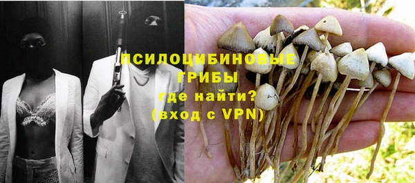 крисы Алзамай